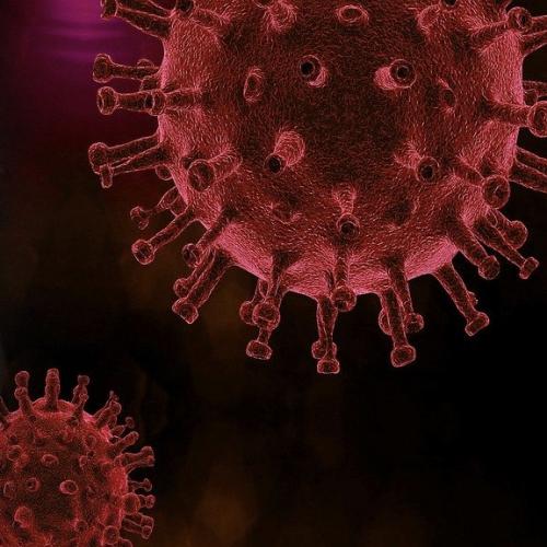 Coronavirus